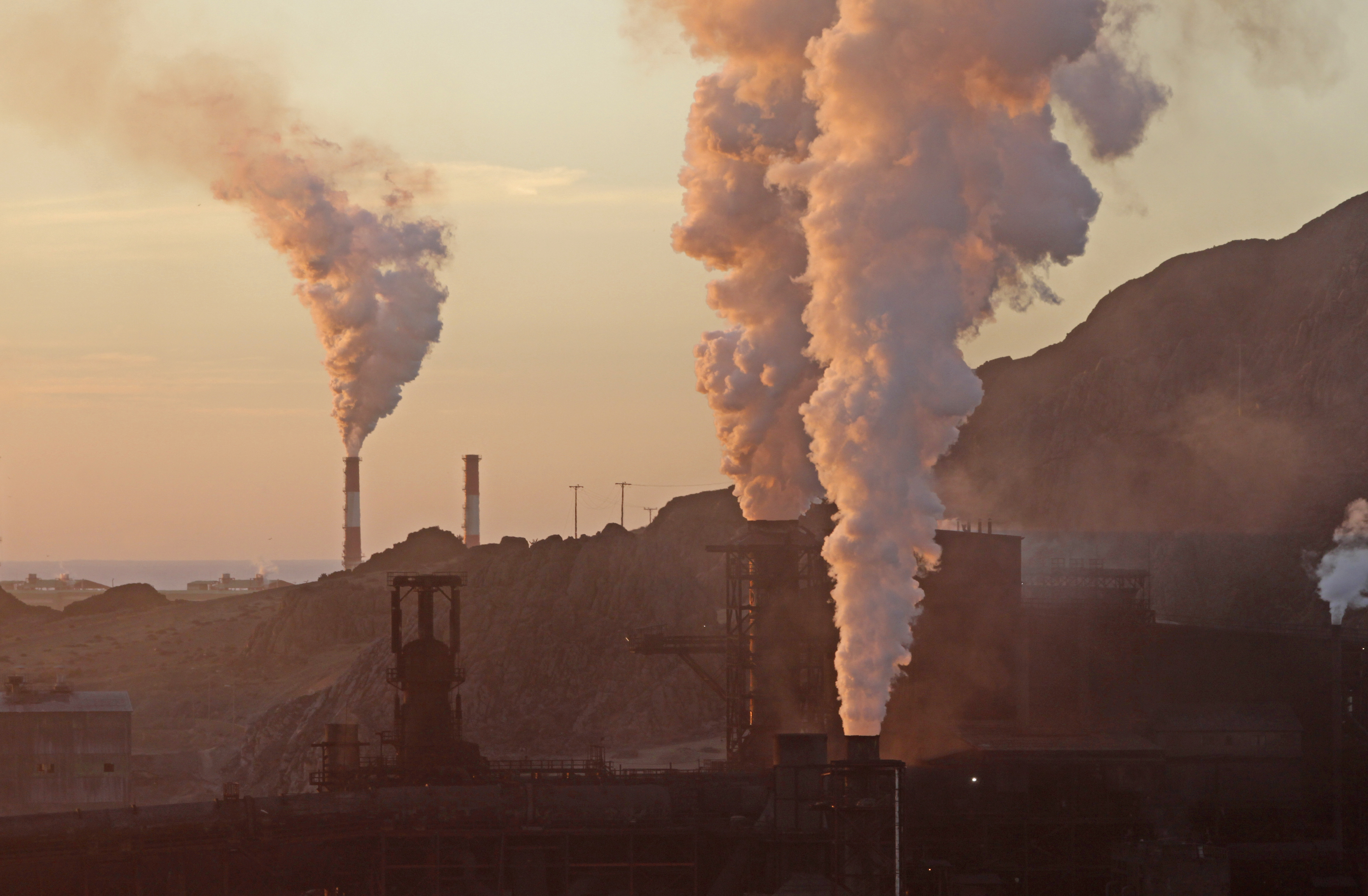 Cop25