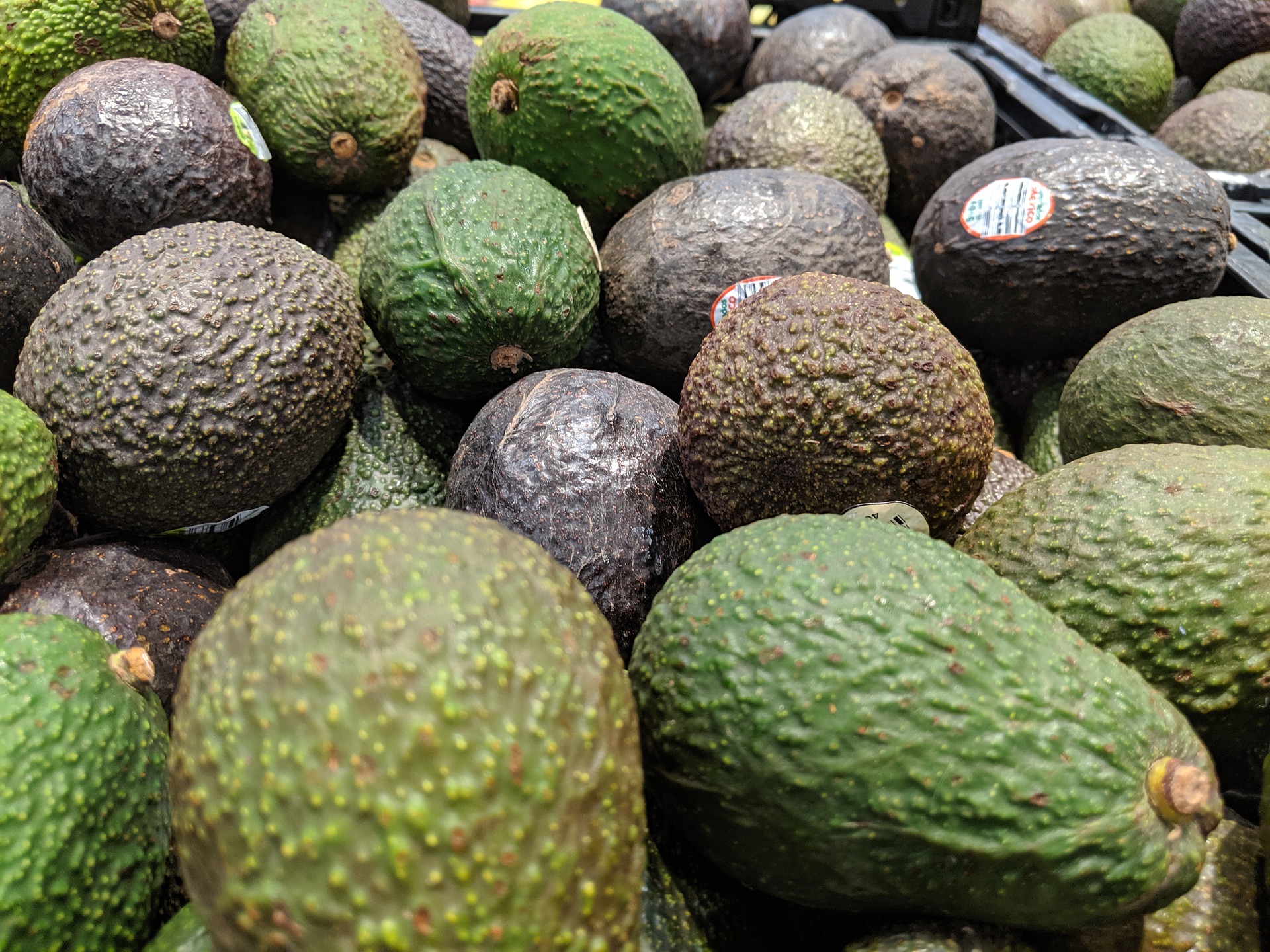 palta supermercados aguacate supermecado alimentos