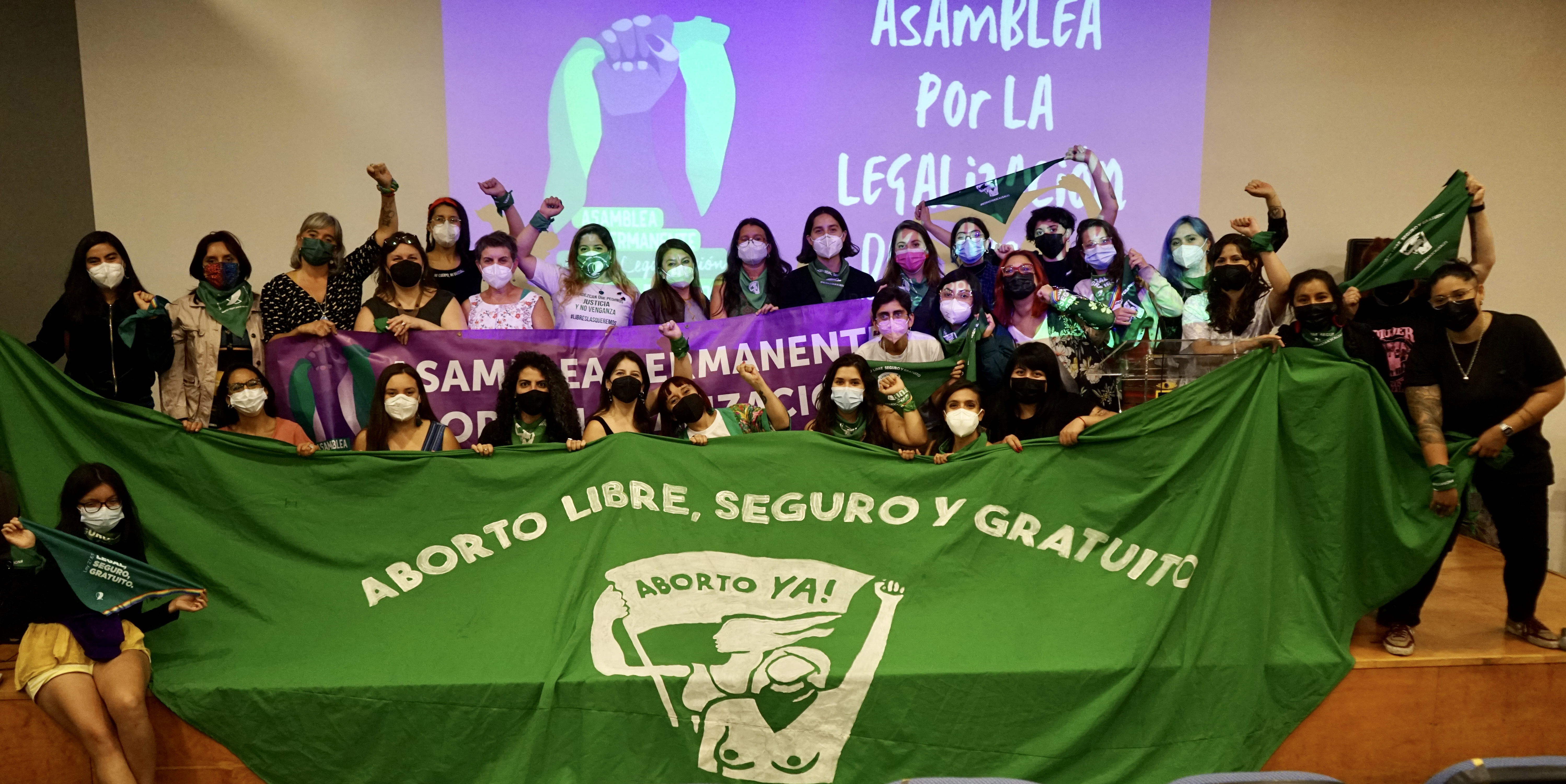Observadoras Ley de Aborto- Con las Amigas y en la Casa