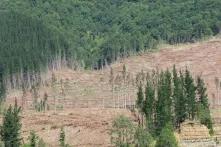 Provincia de Cautín, en la región de La Araucanía.