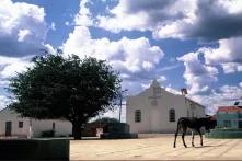 El comercio de Brasil con China: “El burro de ñapa”