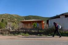 El Oro Verde: La Palta (aguacate) como pesadilla