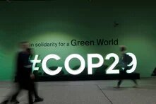 Columna de Opinión COP29