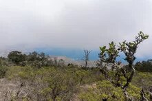 FOTO: Trinidad Mac-Pherson L. Día de la Tierra 2025: Chile Frente a su Futuro