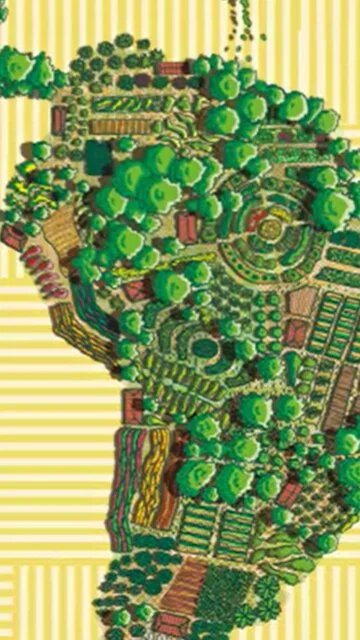 Agroecologia en Transición