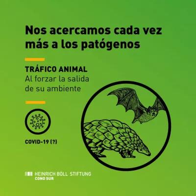 extractivismo pandemias 2