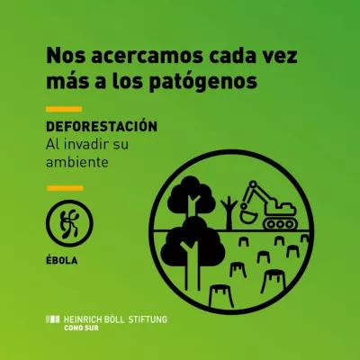 extractivismo pandemias 3