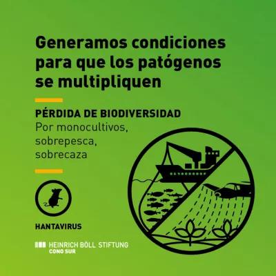 extractivismo pandemias 5