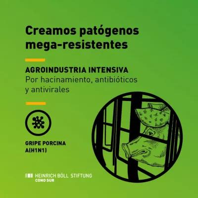 extractivismo pandemias 6