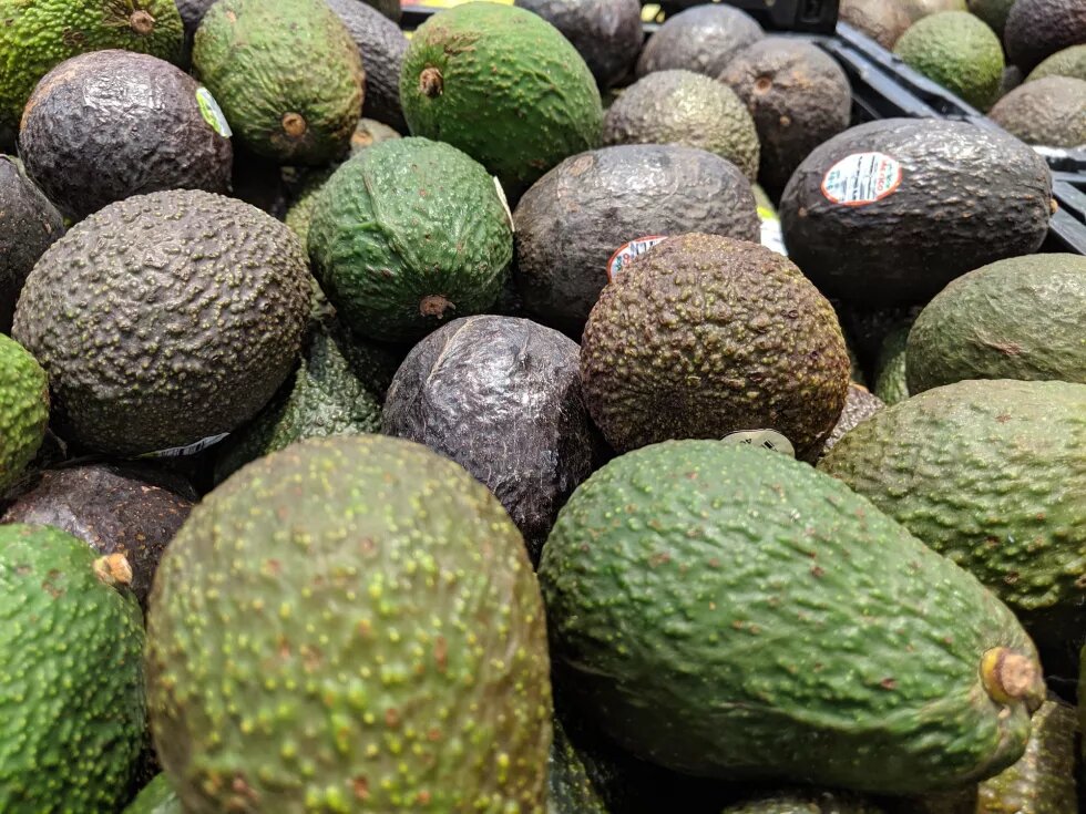 aguacate supermecado alimentos 