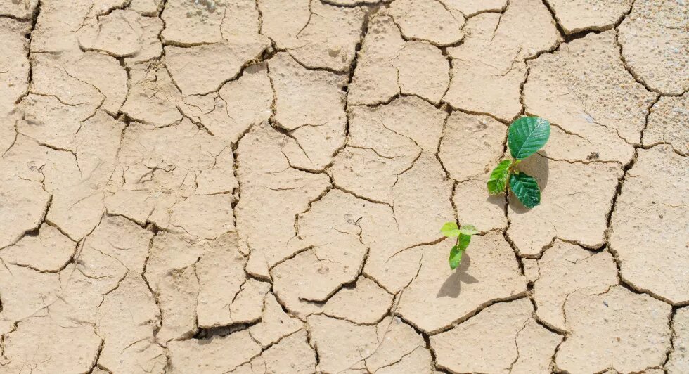 Ciclo de Charlas por el Agua