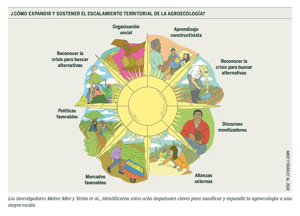  ¿Cómo expandir y sostener el escalamiento territorial de la Agroecología?