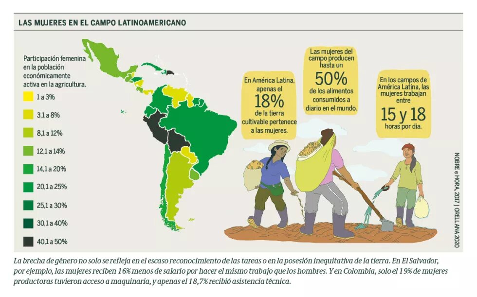  Las mujeres en el campo latinoamericano.