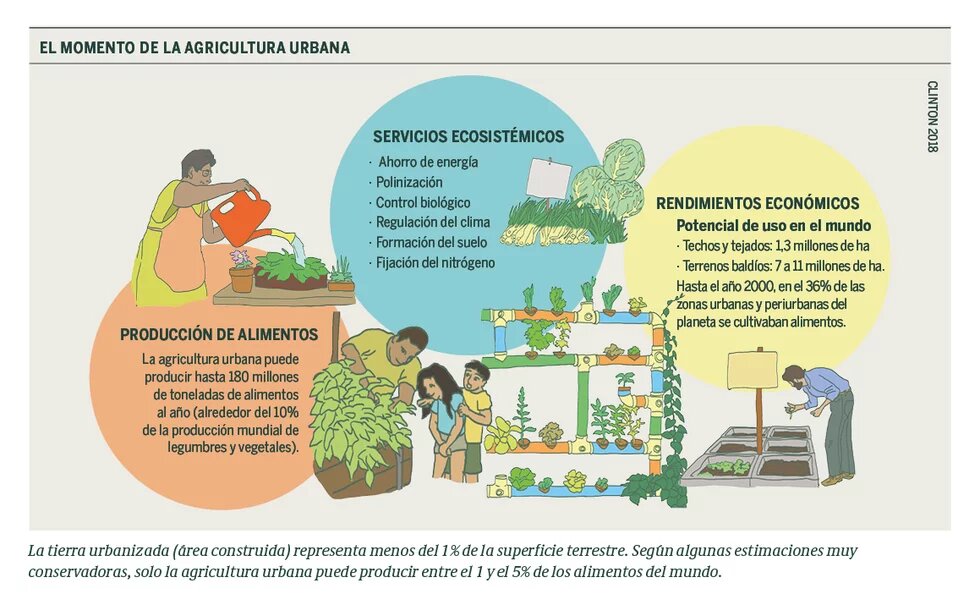 El momento de la agricultura urbana