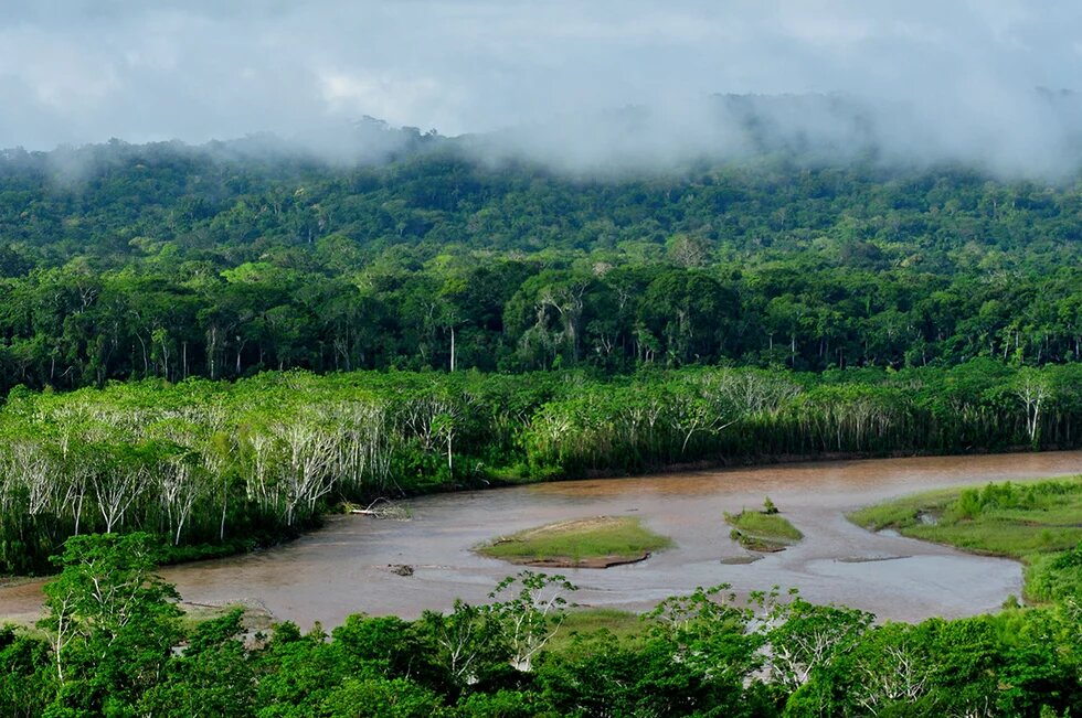 Fluss im Nationalpark Madidi in Bolivien