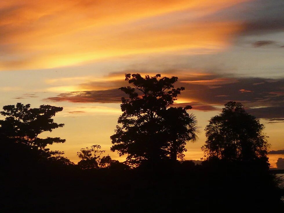 Crepúsculo en la Amazonía 