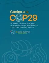 cop29