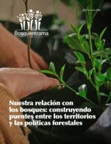 Nuestra relación con los bosques: construyendo puentes entre los territorios y las políticas forestales