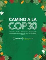 Camino a la COP30 Camino a la COP30