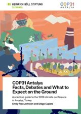 A practical guide to the 2026 climate conference in Antalya, Turkey